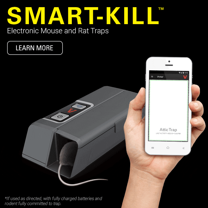 Victor® M1 Smart-Kill™ WIFI elektronisk musefelle med 100% dødsrate! -  brennhett.no