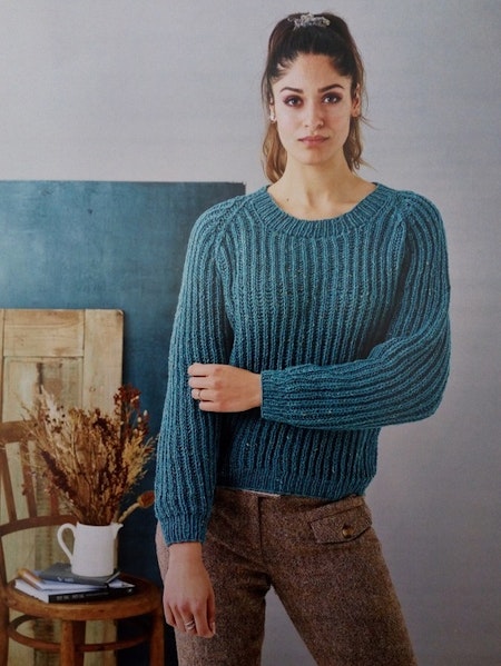 Raglanjumper   899303