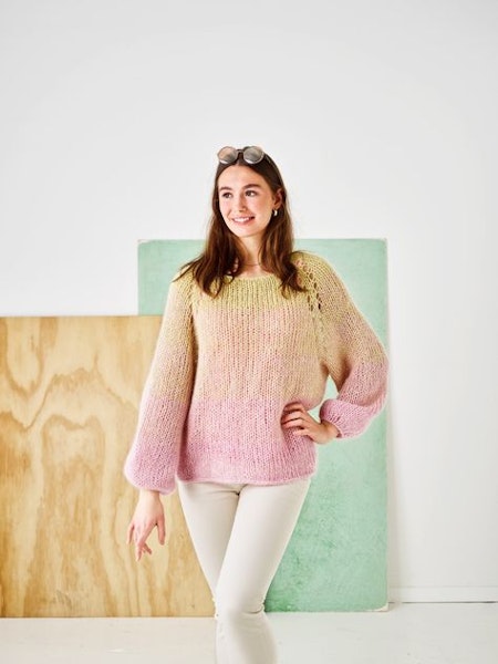 Raglanjumper  893535