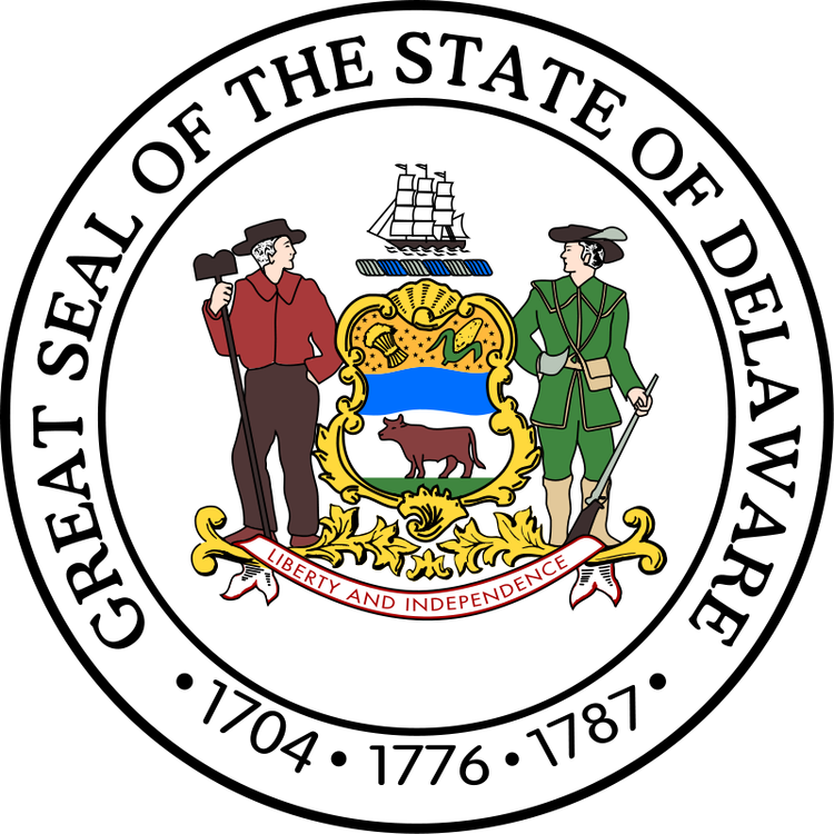 Starta Delaware Limited Liability Company (LLC)