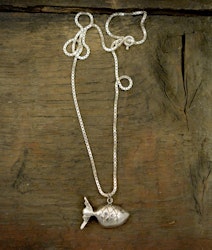 Havskatt/ Catfish