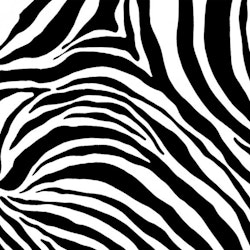 Dekorplast (45 x 200 cm) - Zebra