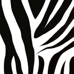 Dekorplast (metervara) - Zebra