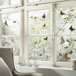 Fönsterdekor - Fjärilar