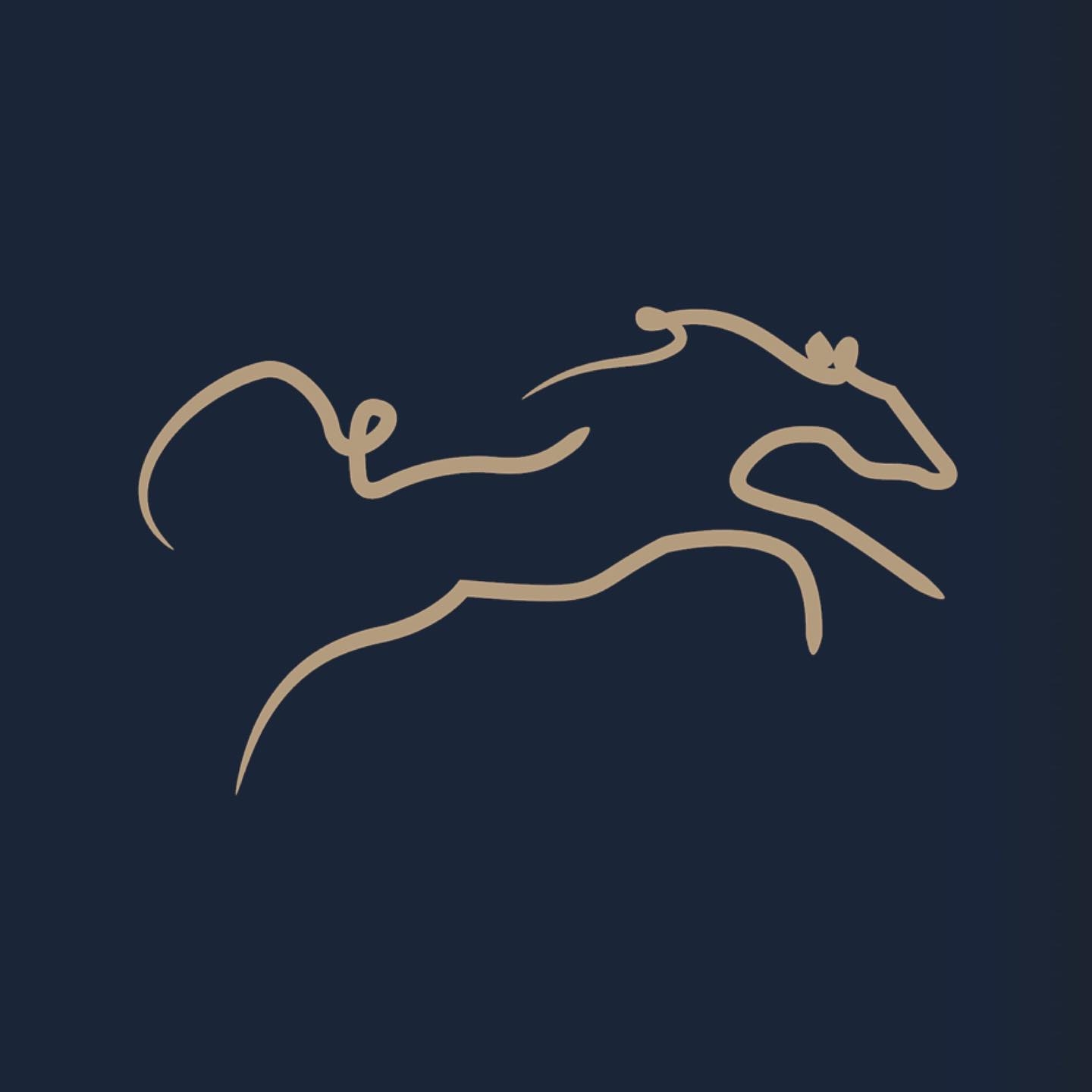 Dam - Selected Equestrian 