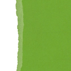 Ensfarget kartong - enkelt ark - FERN, 30,5x30,5cm