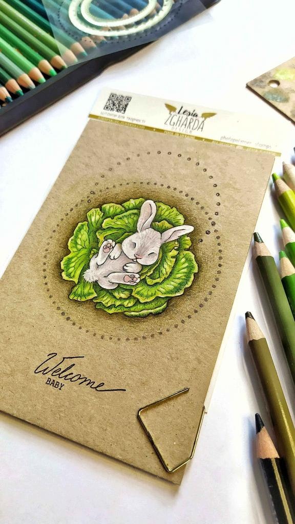 "Bunny in the cabbage" Clearstamp sett 10x7cm