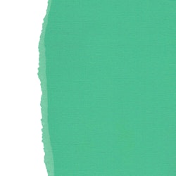 Ensfarget kartong 30,5x30,5cm - CARIBBEAN GREEN 25pk./216gr canvasstruktur