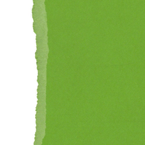 Ensfarget kartong 30,5x30,5cm - FERN 25pk./216gr canvasstruktur