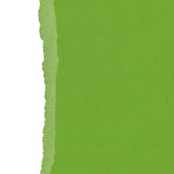 Ensfarget kartong 30,5x30,5cm - FERN 25pk./216gr canvasstruktur