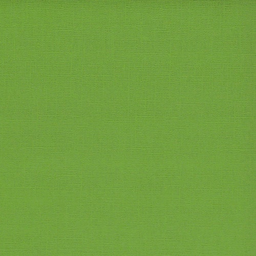 Ensfarget kartong 30,5x30,5cm - FERN 25pk./216gr canvasstruktur