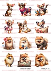 Papirklipp 46 - Pomeranian og chihuahua A4
