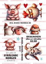 DEK01, Jeg ække morra di, A5