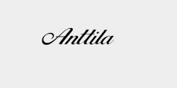 Anttila 30x10 SVART