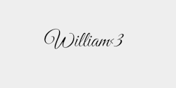 William3 29x9 SVART