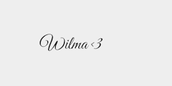 Wilma 3 28x9 SVART