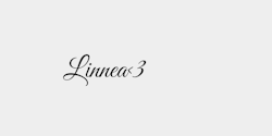 Linnea3 23x9 SVART