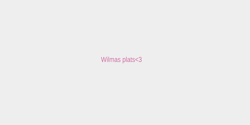 Wilmas plats3 36x7 ROSA