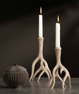Ljustake horn - Stor