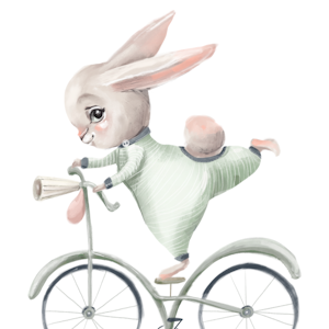 Kanin med cykel