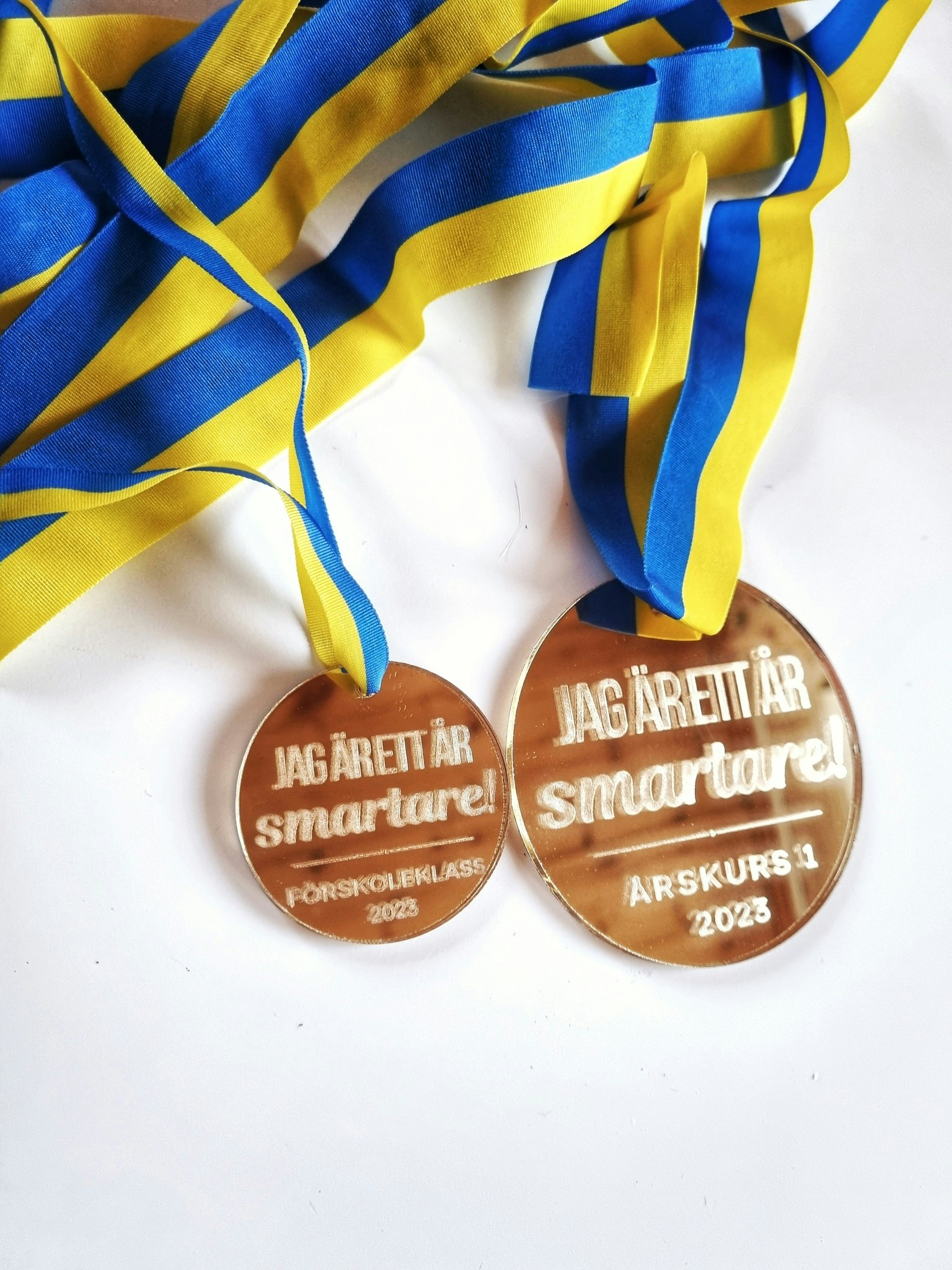 Medalj: Ett år smartare (Åk F-9)