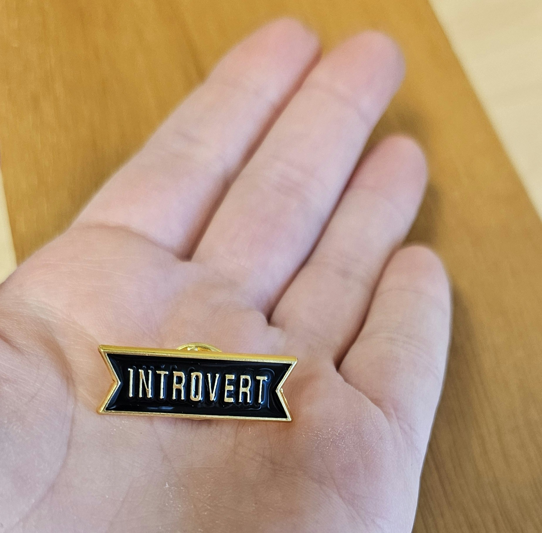 Pin: Introvert
