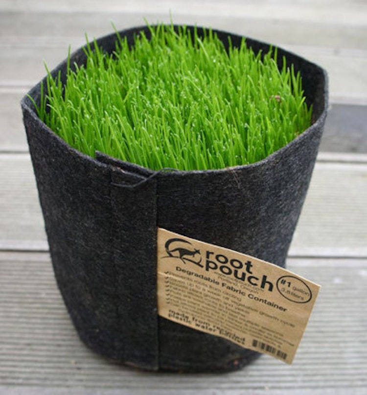 Odlingssäck Root Pouch - 22 liter svart