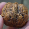 A pair of antique Chinese Handcarved Walnut shell Nutshell Hediao 18 Luohan