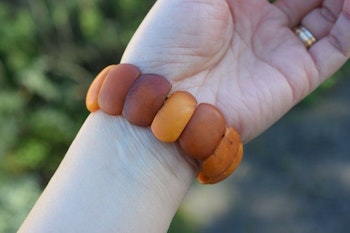 Natural antique Danish amber bracelet butterscotch egg yolk 22g