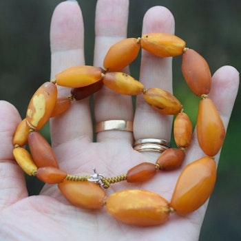 Natural Amber necklace antique from Denmark baltic amber egg yolk 29g