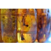 Natural Amber danish raw stone amber bracelet many inclusions insects large 85g