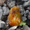 Natural amber pendant danish amber raw stone handpolished huge unique 39g