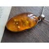 Natural amber pendant danish design EF House of Amber fascinating inclusion 37g