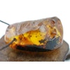 Natural Danish Amber Pendant Baltic amber 43 grams