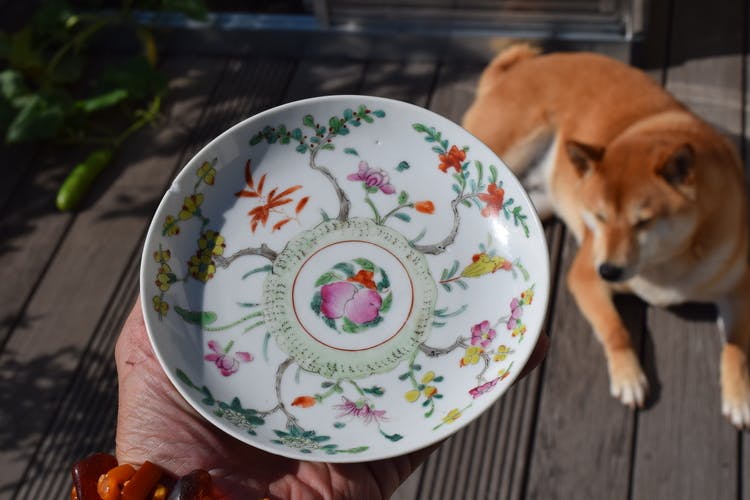 Antique chinese famille rose plate decorated with flowers, peach and bat