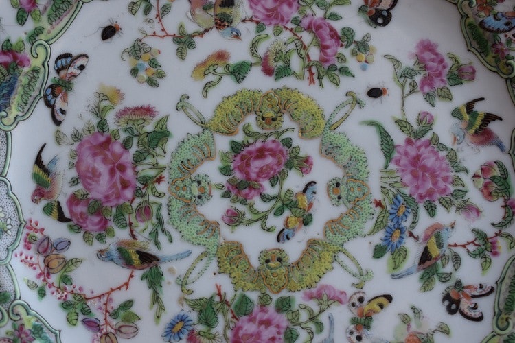 Antique rare Chinese Canton Rose Butterfly dish with bats famille rose #379