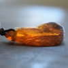 Natural baltic amber pendant with insect 14g