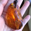 Natural baltic amber pendant with insect 14g