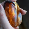 Natural baltic amber pendant with insect 14g