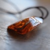 Natural baltic amber pendant with insect 14g