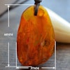 Natural baltic amber pendant with insect 14g