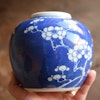 Antique Chinese Porcelain Ginger Jar with prunus flower Late Qing or Republic