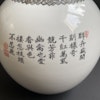 One large Vintage Chinese famille rose vase, 1980s-90's #856