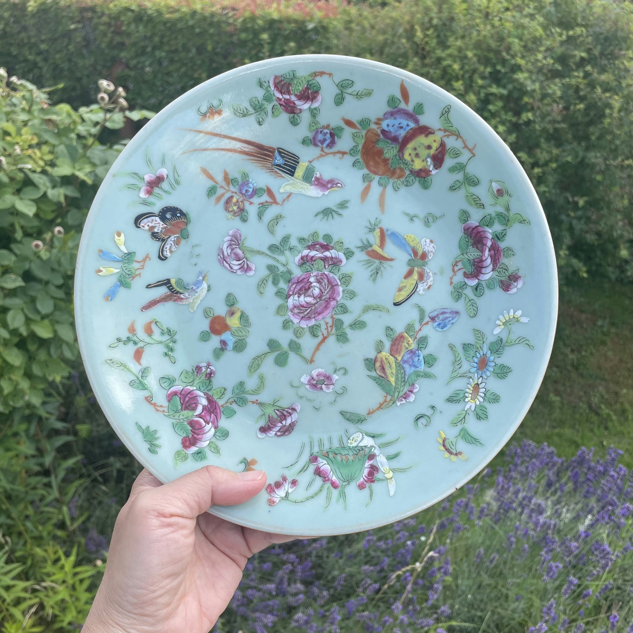 Chinese antique celadon canton butterfly plate, 19th c #1569