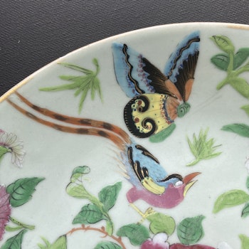Chinese antique celadon canton butterfly plate, 19th c #1570