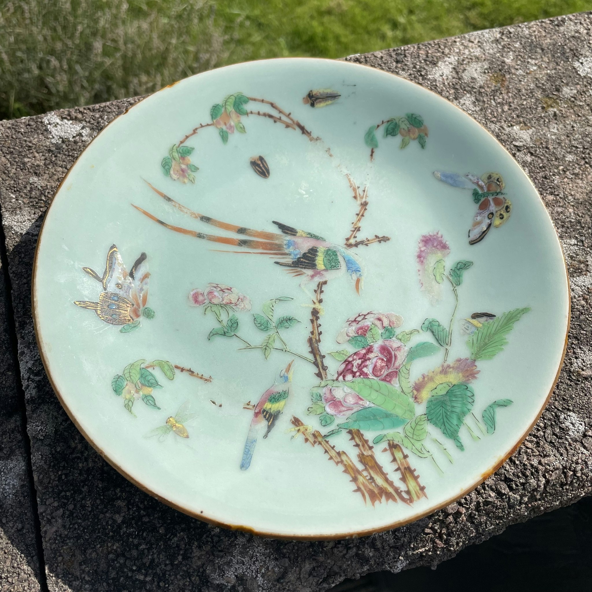 Chinese antique celadon canton butterfly plate, 19th c #1621