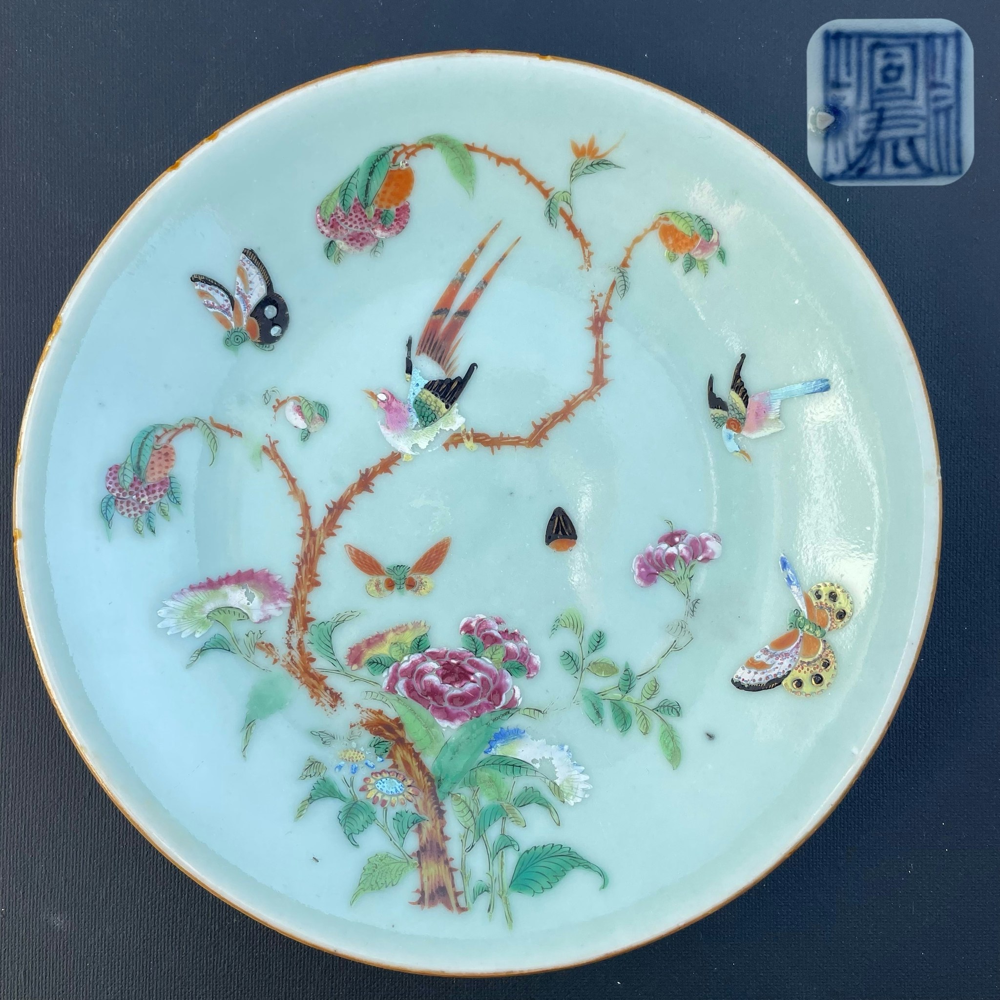 Chinese antique celadon canton butterfly plate, 19th c #1622