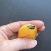 Natural amber pendant from Denmark baltic amber hand polished big 39g