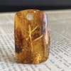 Unique Viking Runes natural amber pendant Danish design hand carved Alphabet F