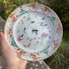 Chinese Antique rose mandarin Butterfly Plate With Dragons, Daoguang #1698